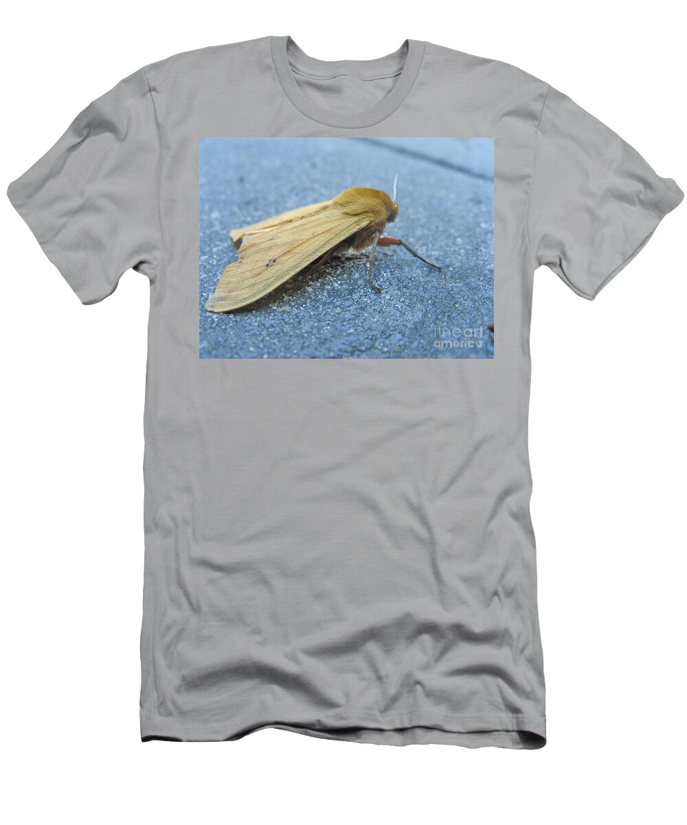Moths T-Shirt featuring the photograph Fokker Moth by Christopher Plummer