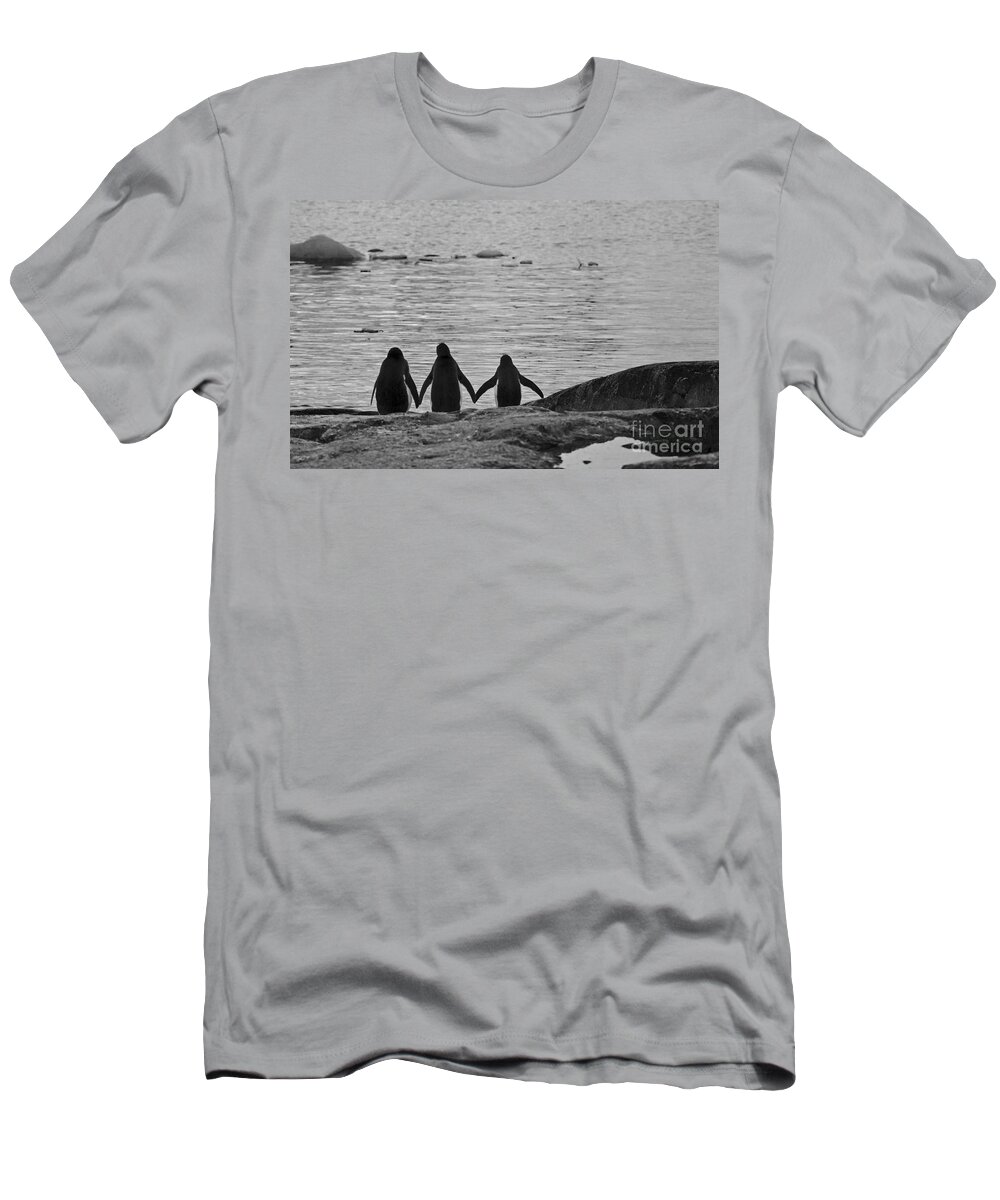 Festblues T-Shirt featuring the photograph Forever Friends... by Nina Stavlund