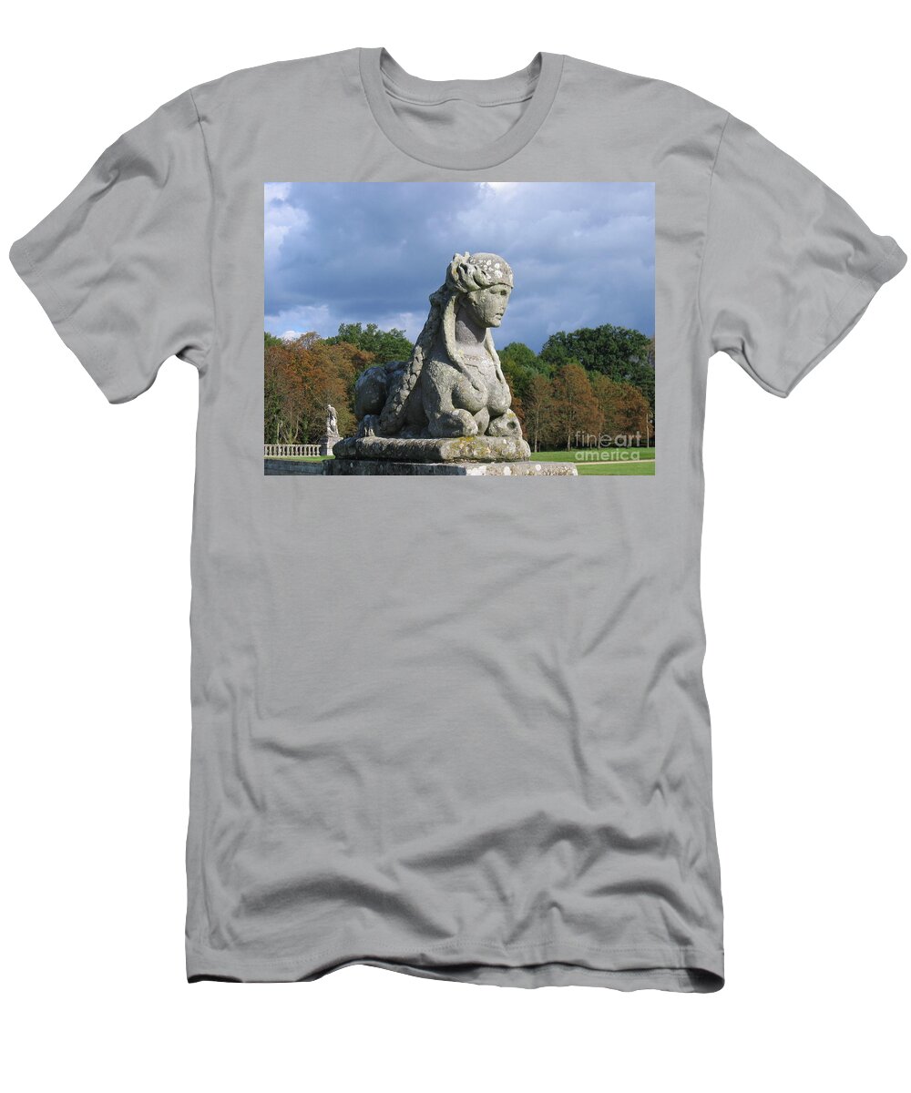 Statuary T-Shirt featuring the photograph Fountainebleau Twin2 by HEVi FineArt