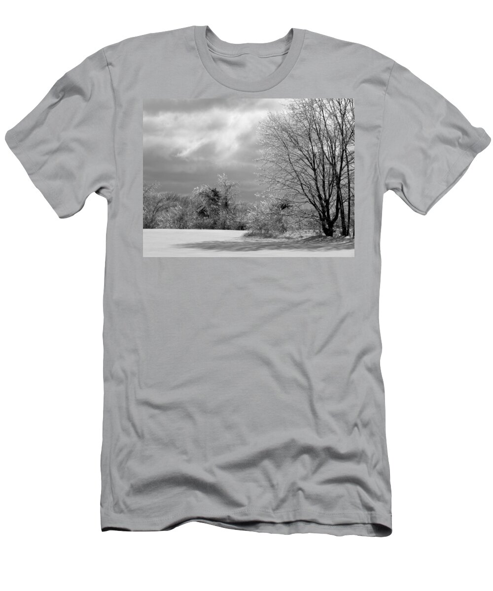 Ice T-Shirt featuring the photograph Frozen In Perfect Harmony CT USA by Kim Galluzzo
