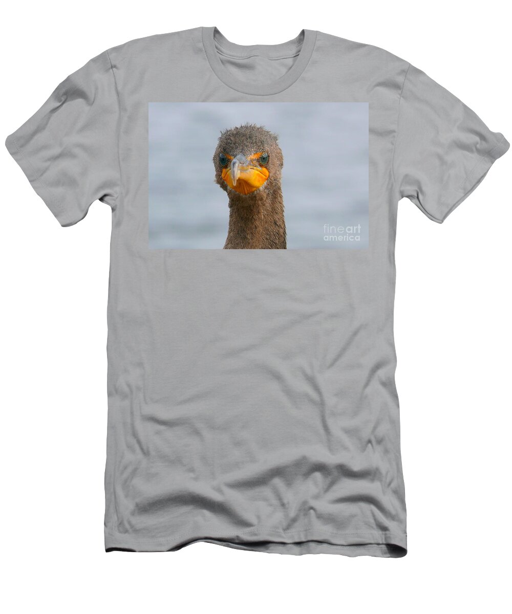 Alive T-Shirt featuring the photograph Funny looking Bird by Amanda Mohler