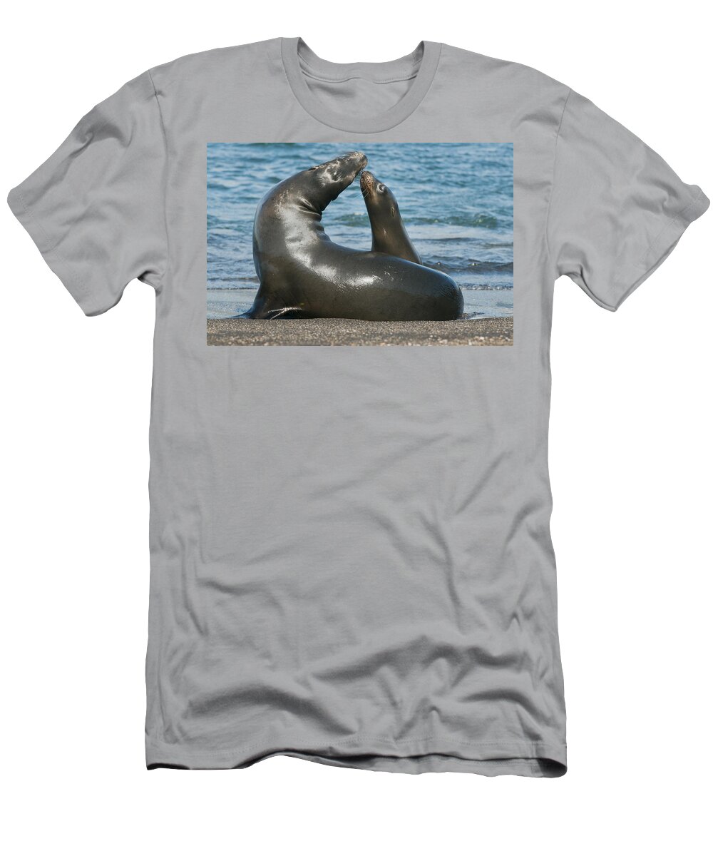 Feb0514 T-Shirt featuring the photograph Galapagos Sea Lion Pup Nuzzling Mother by Kevin Schafer