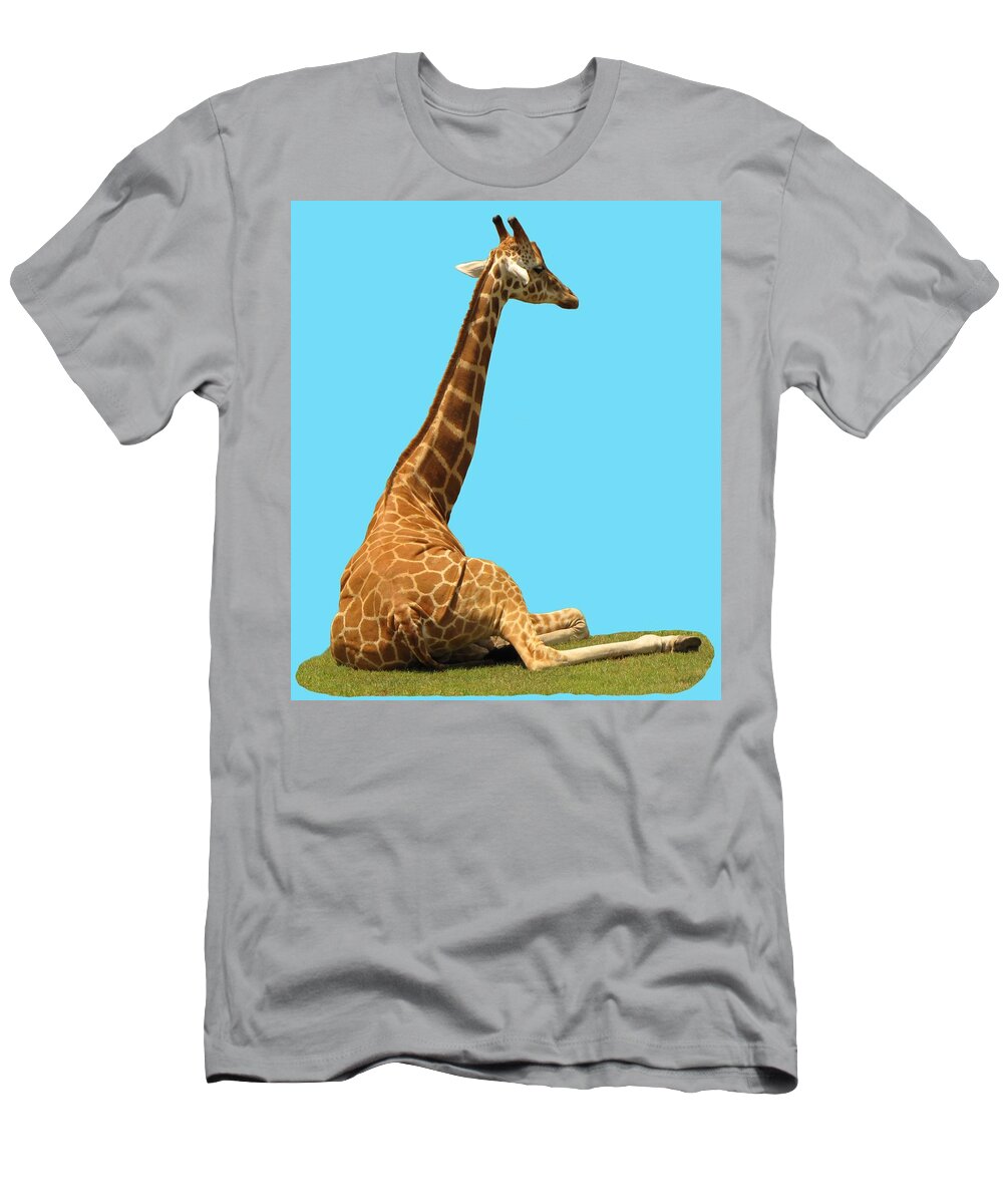 Giraffe T-Shirt featuring the photograph Giraffe on Blue by MTBobbins Photography