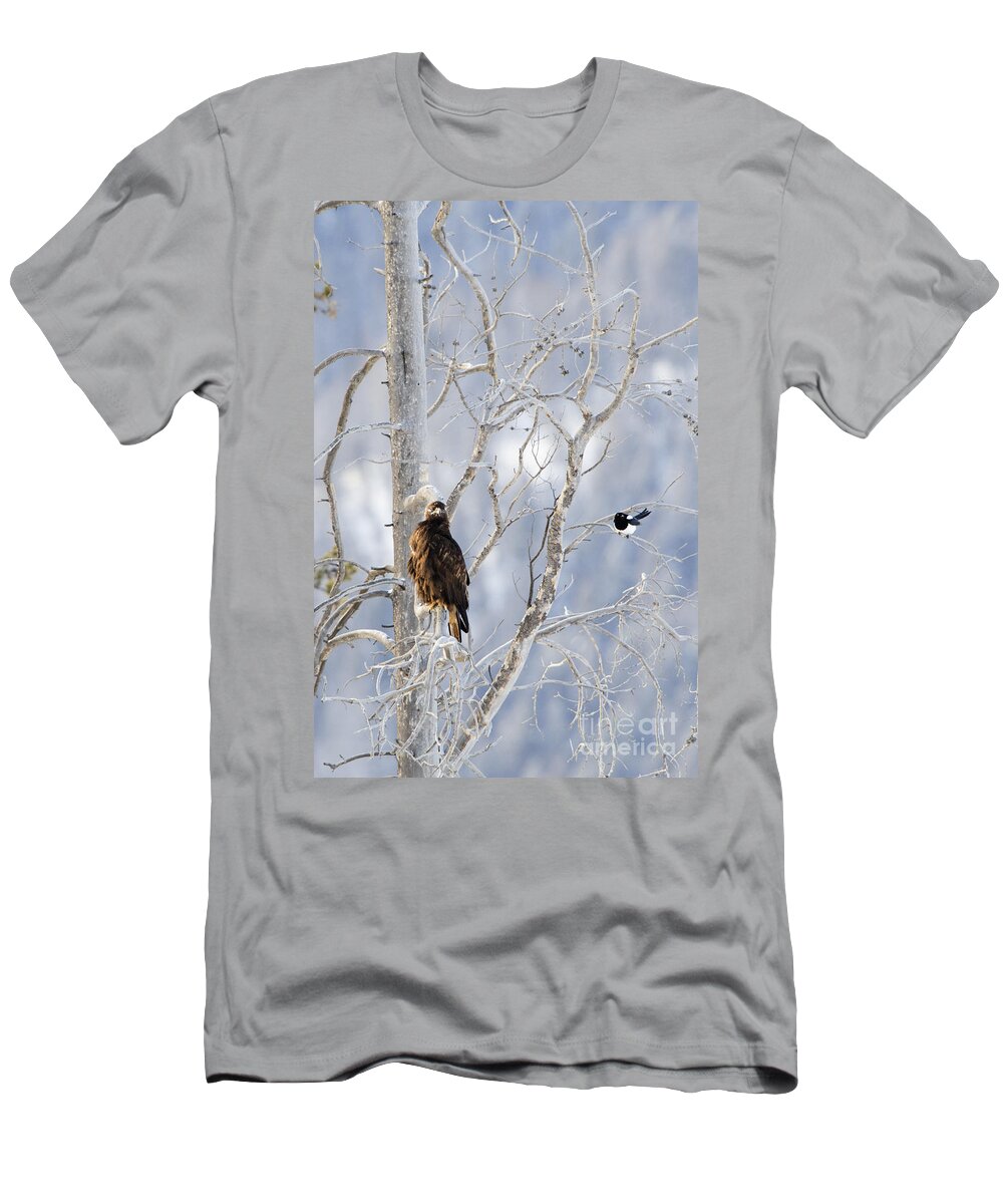 Golden Eagle T-Shirt featuring the photograph Golden Eagle and the Magpie by Deby Dixon