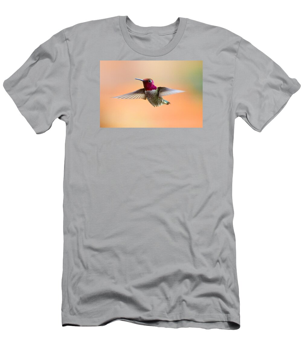 Hummers T-Shirt featuring the photograph Graceful Beauty by Lynn Bauer