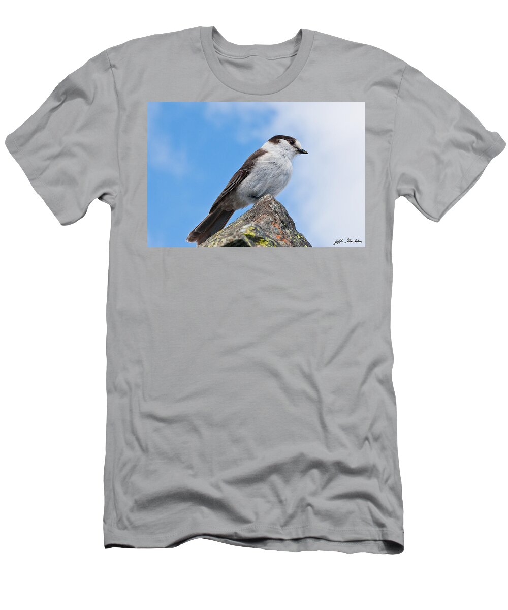Animal T-Shirt featuring the photograph Gray Jay With Blue Sky Background by Jeff Goulden