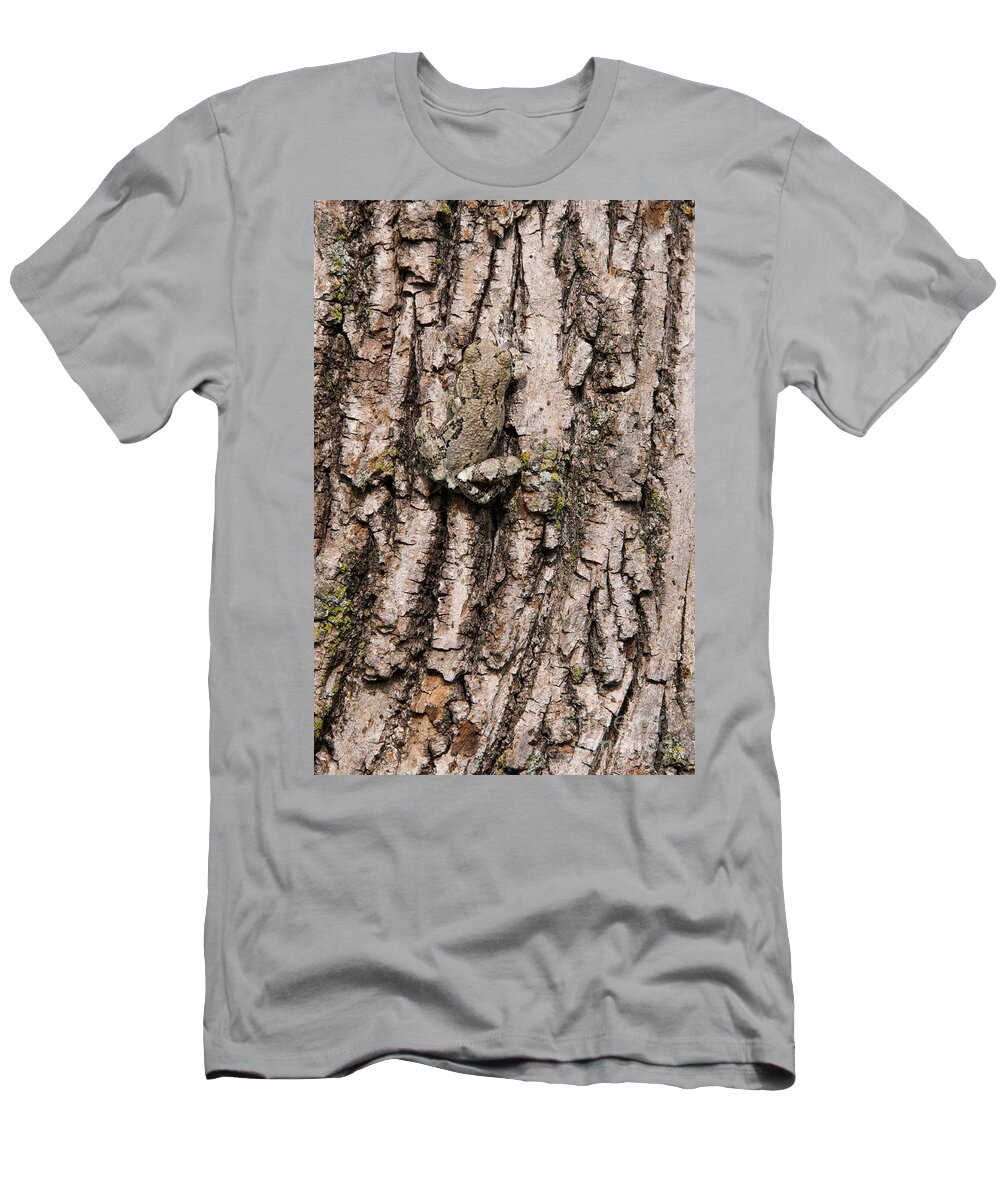 Tree Frog T-Shirt featuring the photograph Gray Tree Frog by Stephen J Krasemann