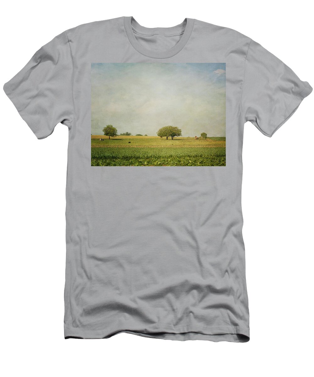  Cow T-Shirt featuring the photograph Grazing by Kim Hojnacki