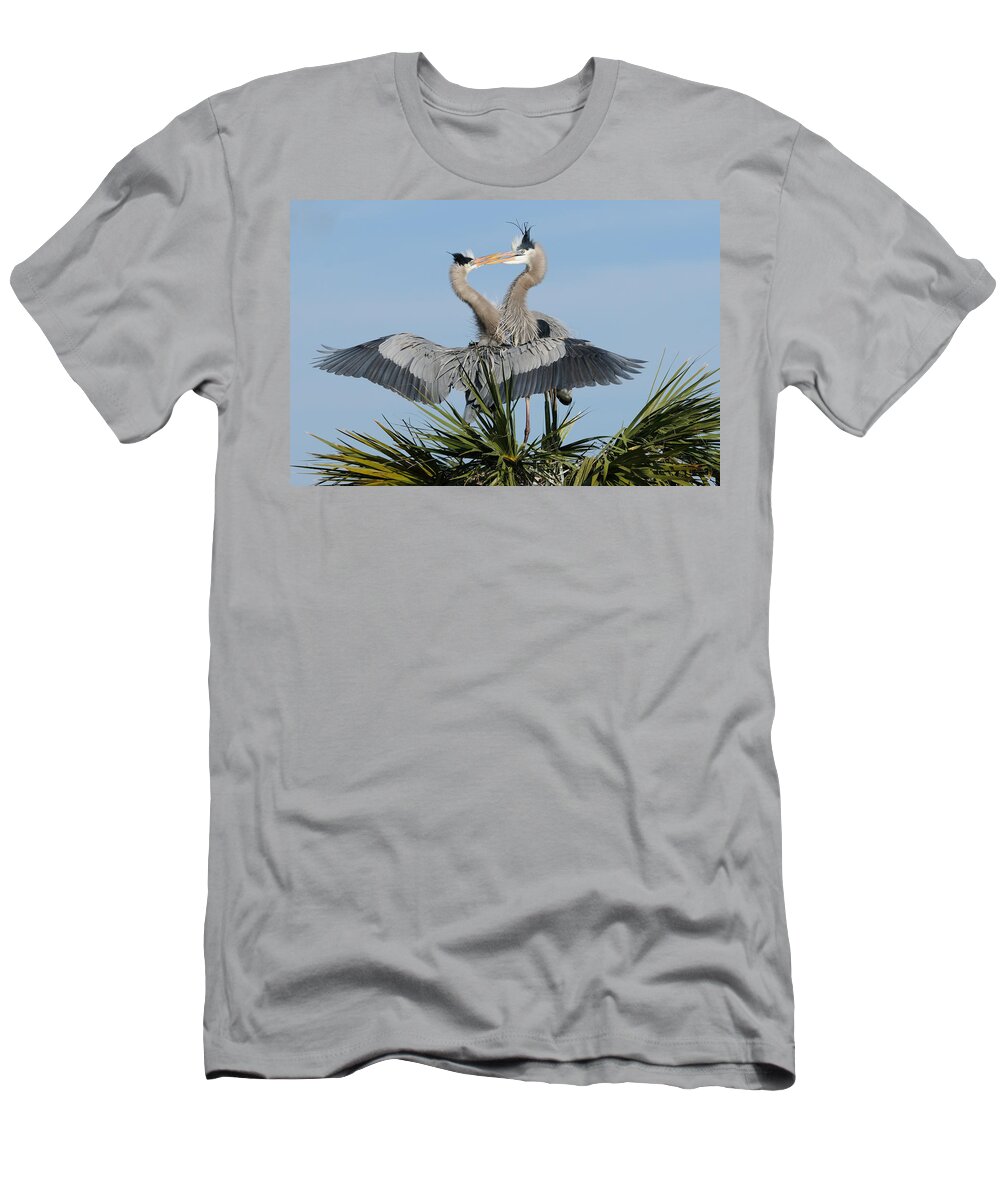 Great Blue Heron T-Shirt featuring the photograph Great Blue Herons Courting by Bradford Martin