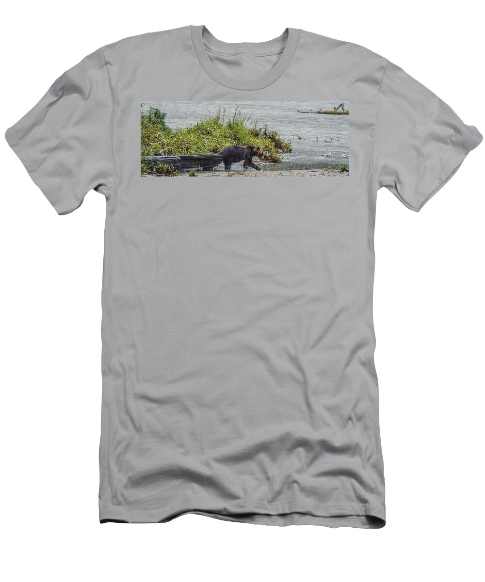 Grizzly Bear T-Shirt featuring the photograph Grizzly Bear Late September 4 by Roxy Hurtubise