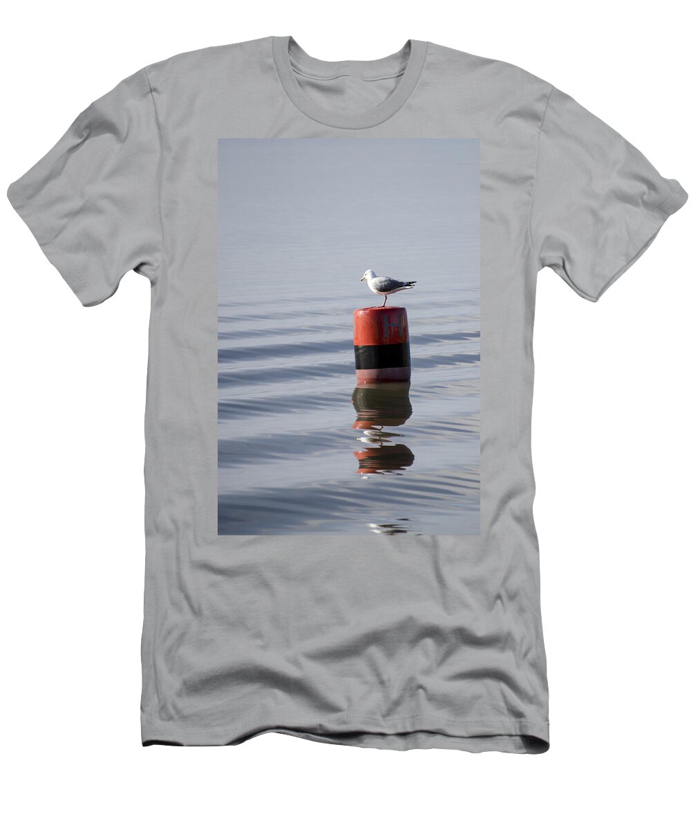 Sand T-Shirt featuring the photograph Gull by Spikey Mouse Photography