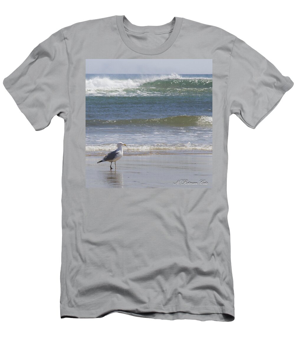 Photograph T-Shirt featuring the photograph Gull with Parallel Waves by Natalie Rotman Cote
