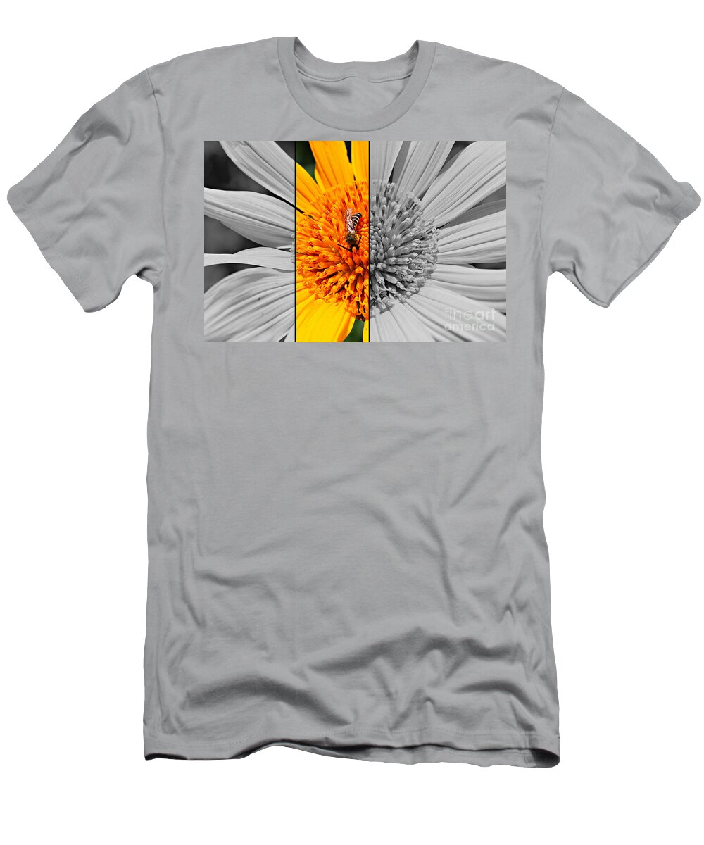 Sunflower T-Shirt featuring the photograph Half and Half by Clare Bevan