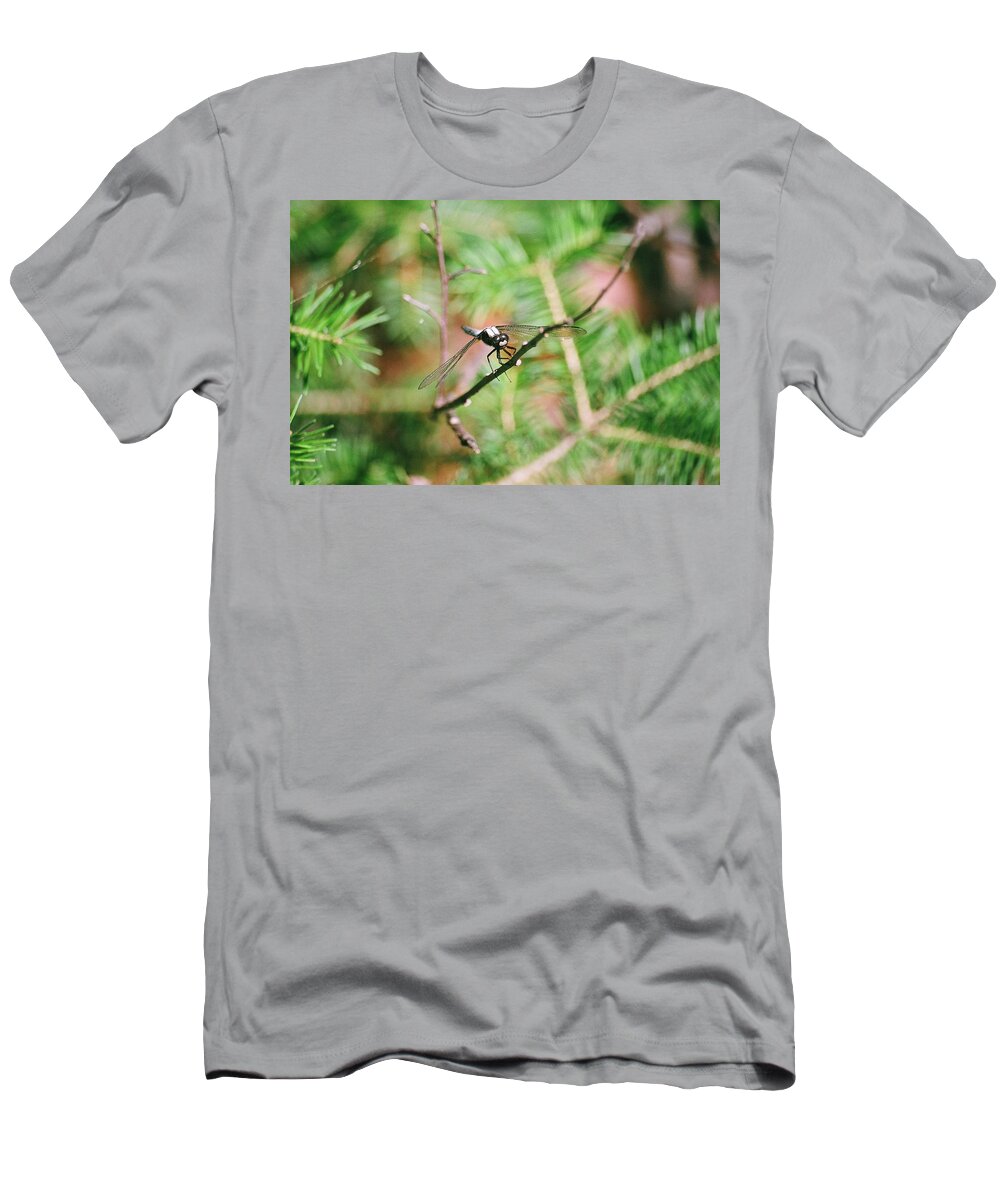 Dragonfly T-Shirt featuring the photograph Hangin' Out by David Porteus