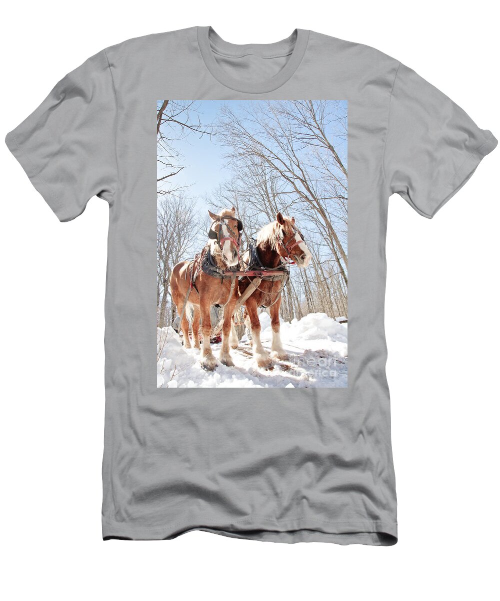 Maple Syrup T-Shirt featuring the photograph Hard Working Horses by Cheryl Baxter