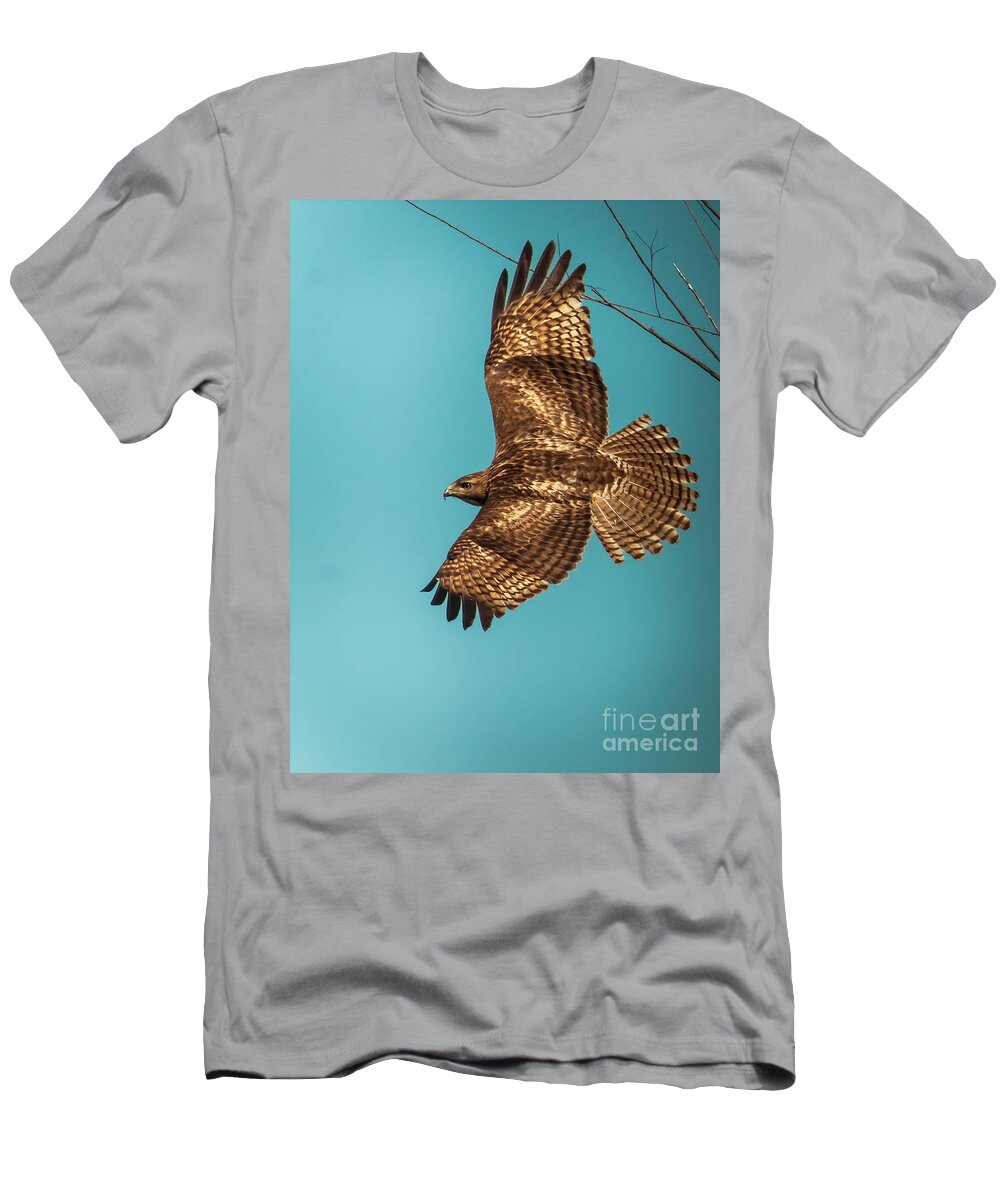 Raptor T-Shirt featuring the photograph Hawk In Flight by Robert Frederick