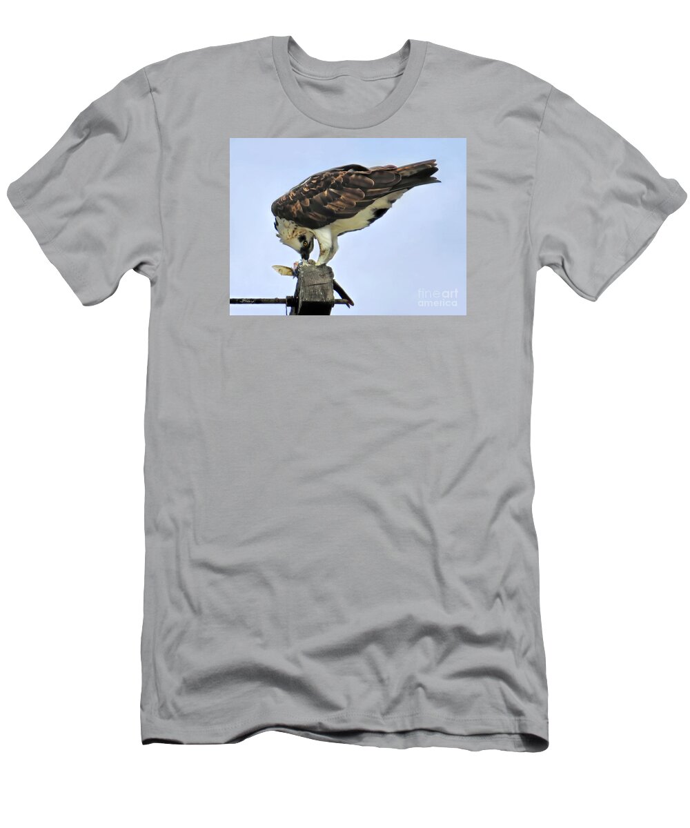 Osprey T-Shirt featuring the photograph Head Twisting Osprey by Jennie Breeze