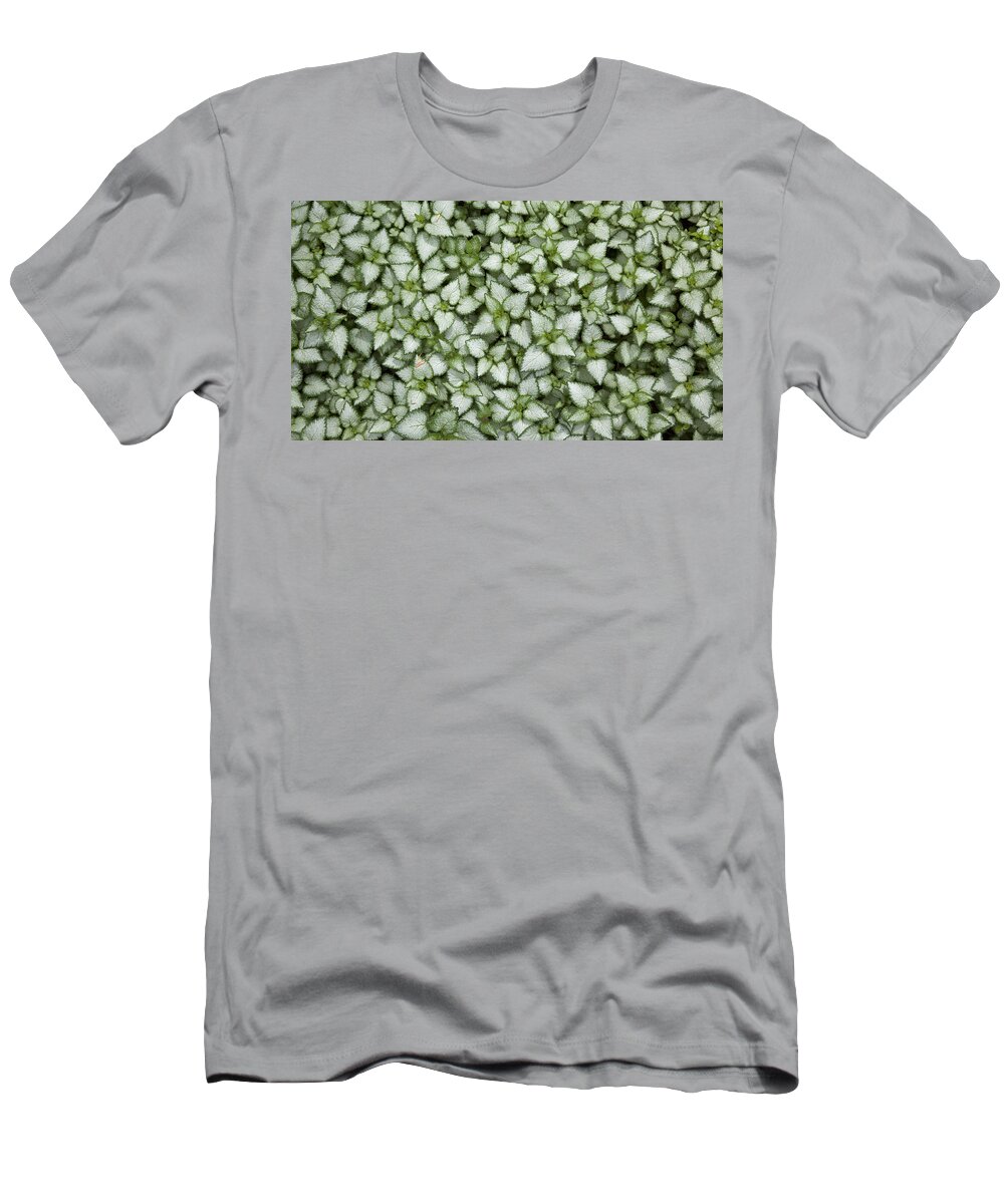 Landscape T-Shirt featuring the photograph Hearts by Charles Harden