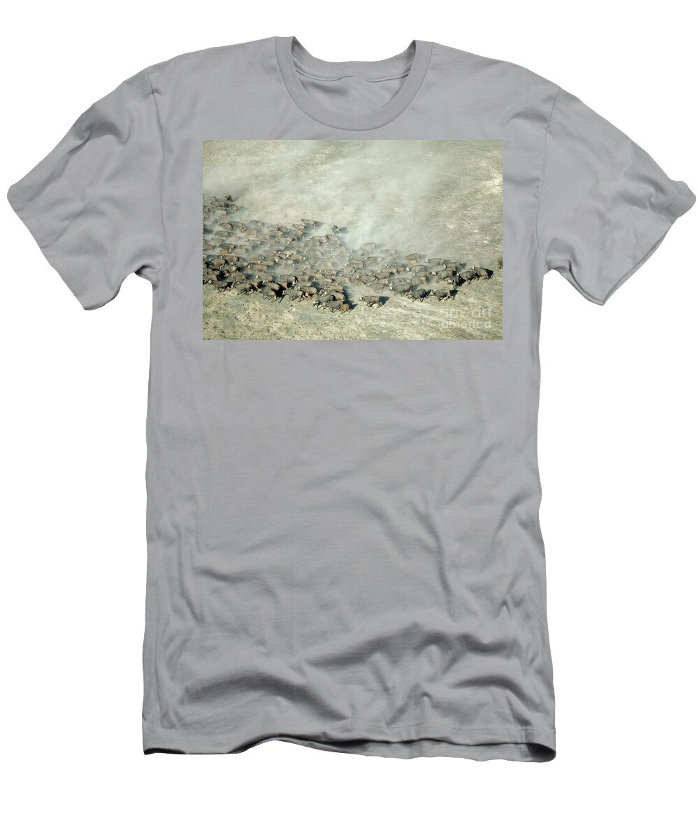 Herd T-Shirt featuring the photograph Herd Of Cape Buffalo by Gregory G. Dimijian