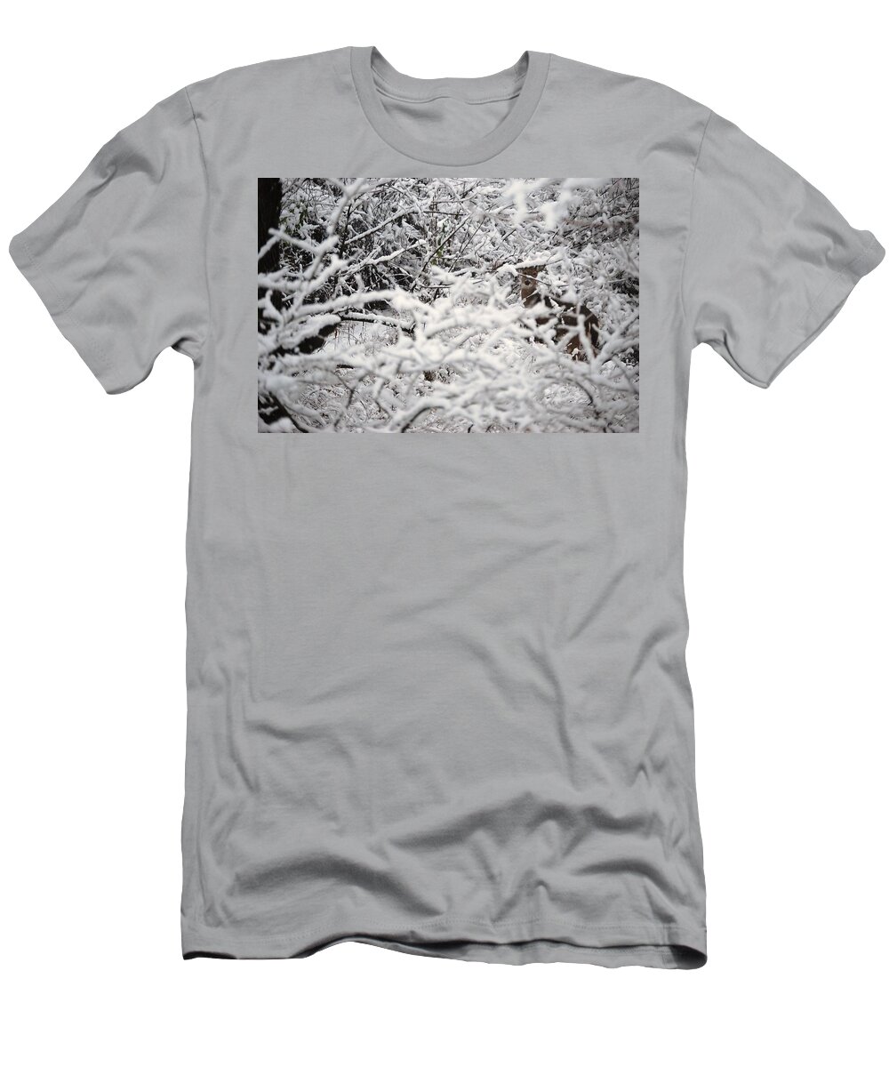 Deer T-Shirt featuring the photograph Hidden treasure by Eric Liller