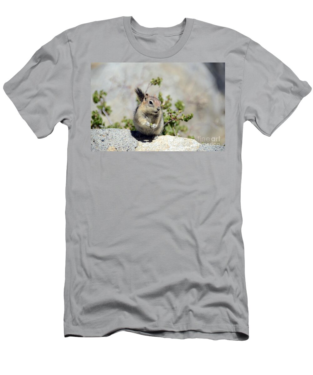 Golden-mantled Ground Squirrel T-Shirt featuring the photograph Hold That Pose by Debra Thompson