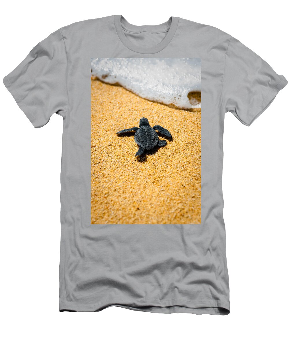 Baby Loggerhead T-Shirt featuring the photograph Home by Sebastian Musial