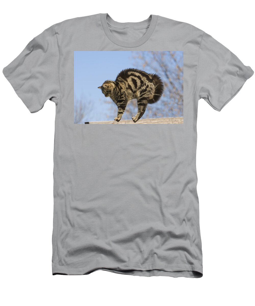 Feb0514 T-Shirt featuring the photograph House Cat With Raised Hackles Germany by Konrad Wothe