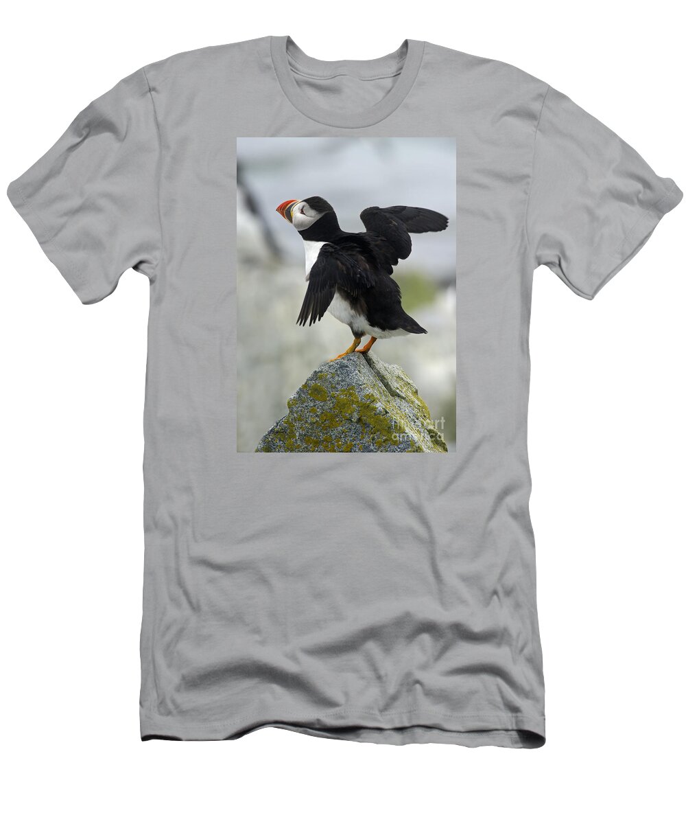 Festblues T-Shirt featuring the photograph Huffin and Puffin.. by Nina Stavlund