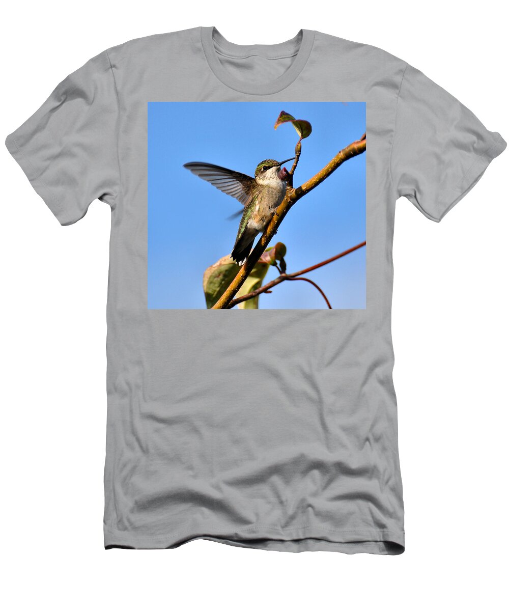 Humming Bird T-Shirt featuring the photograph Hummer by Todd Hostetter