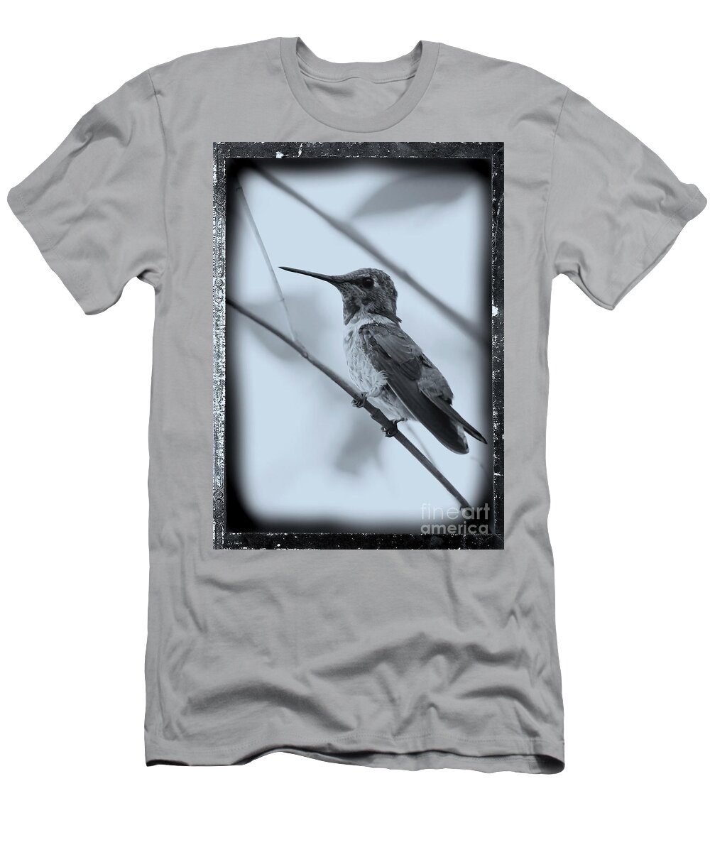 Hummingbirds T-Shirt featuring the photograph Hummingbird with Old-Fashioned Frame 1 by Carol Groenen