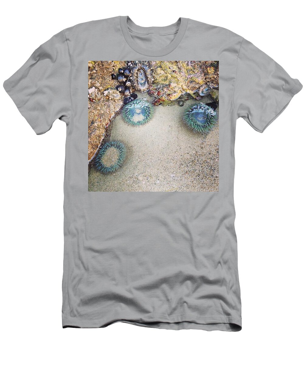 Anemone T-Shirt featuring the photograph I Met Sea Anemones by Katie Cupcakes