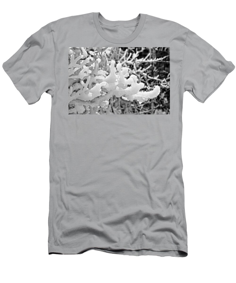 Lake Superior T-Shirt featuring the photograph Icy Fingers by Kathryn Lund Johnson