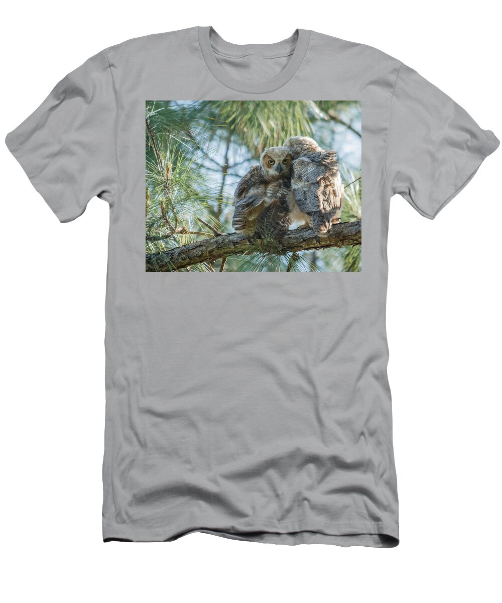 Florida T-Shirt featuring the photograph Immature Great Horned Owls by Jane Luxton