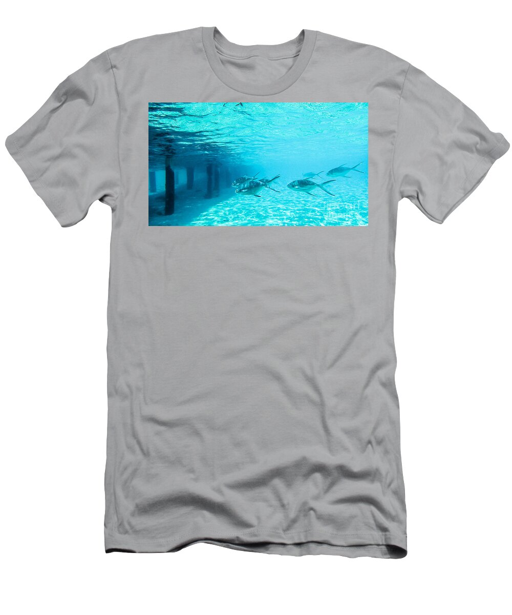 Animal T-Shirt featuring the photograph In The Turquoise Water by Hannes Cmarits