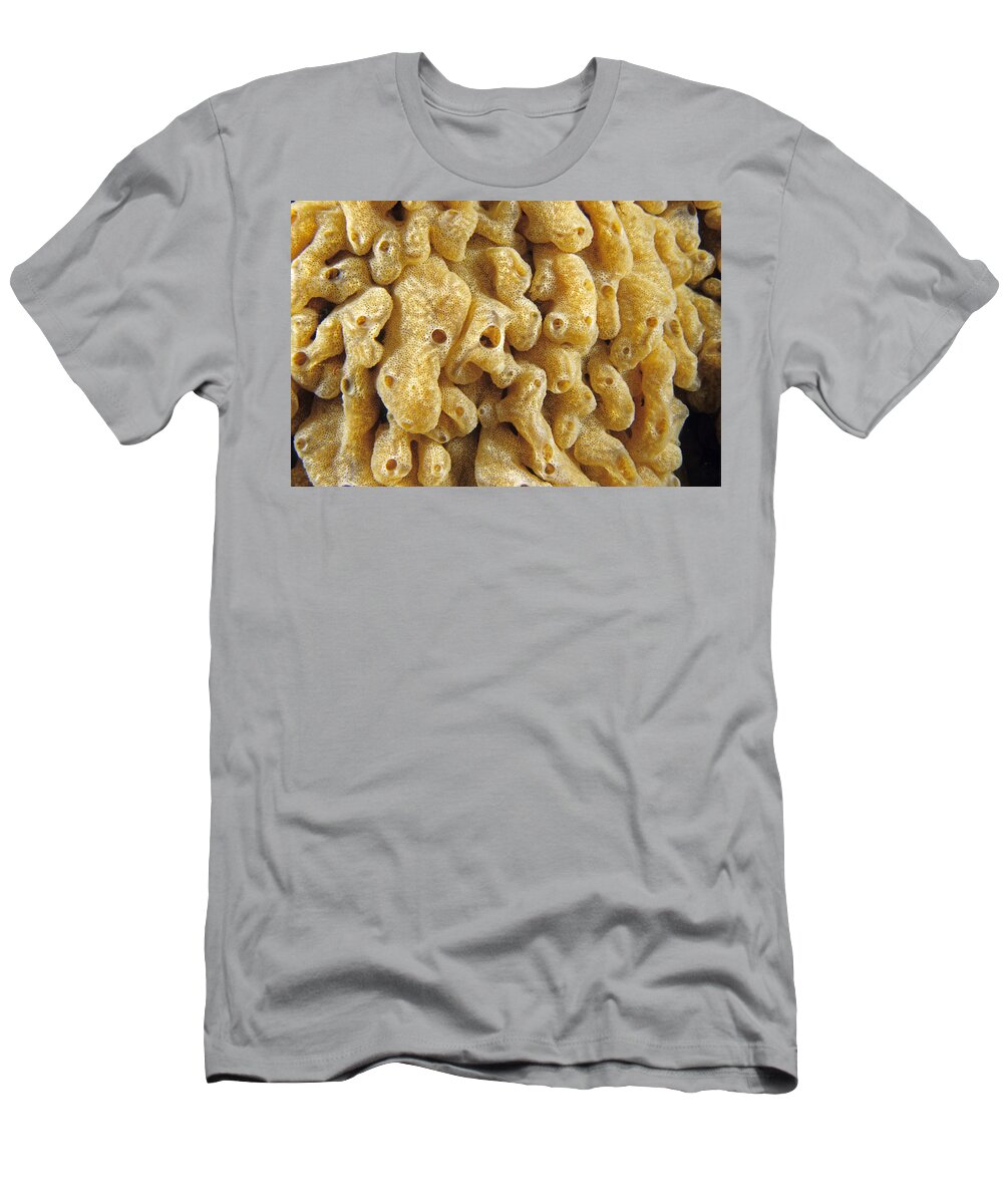 Infocus131 T-Shirt featuring the photograph Invasive Colonial Tunicate by Andrew J Martinez