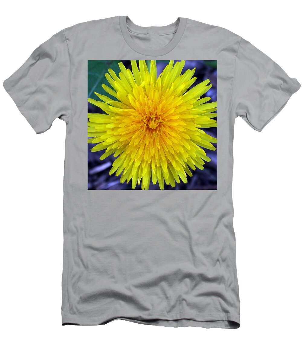 Dandelion T-Shirt featuring the photograph Just a Dandelion by David T Wilkinson