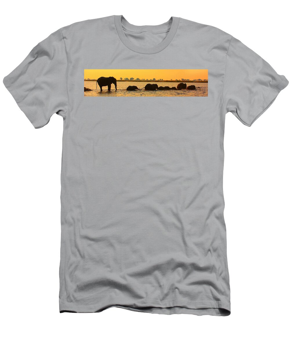 Elephants T-Shirt featuring the photograph Kalahari Elephants Crossing Chobe River by Amanda Stadther