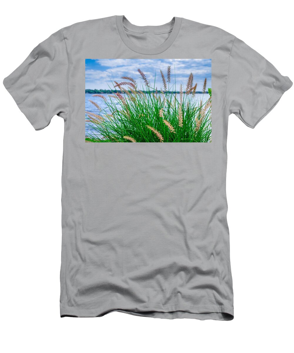 Pennisetum Orientale T-Shirt featuring the photograph Karley Rose by Rick Bartrand