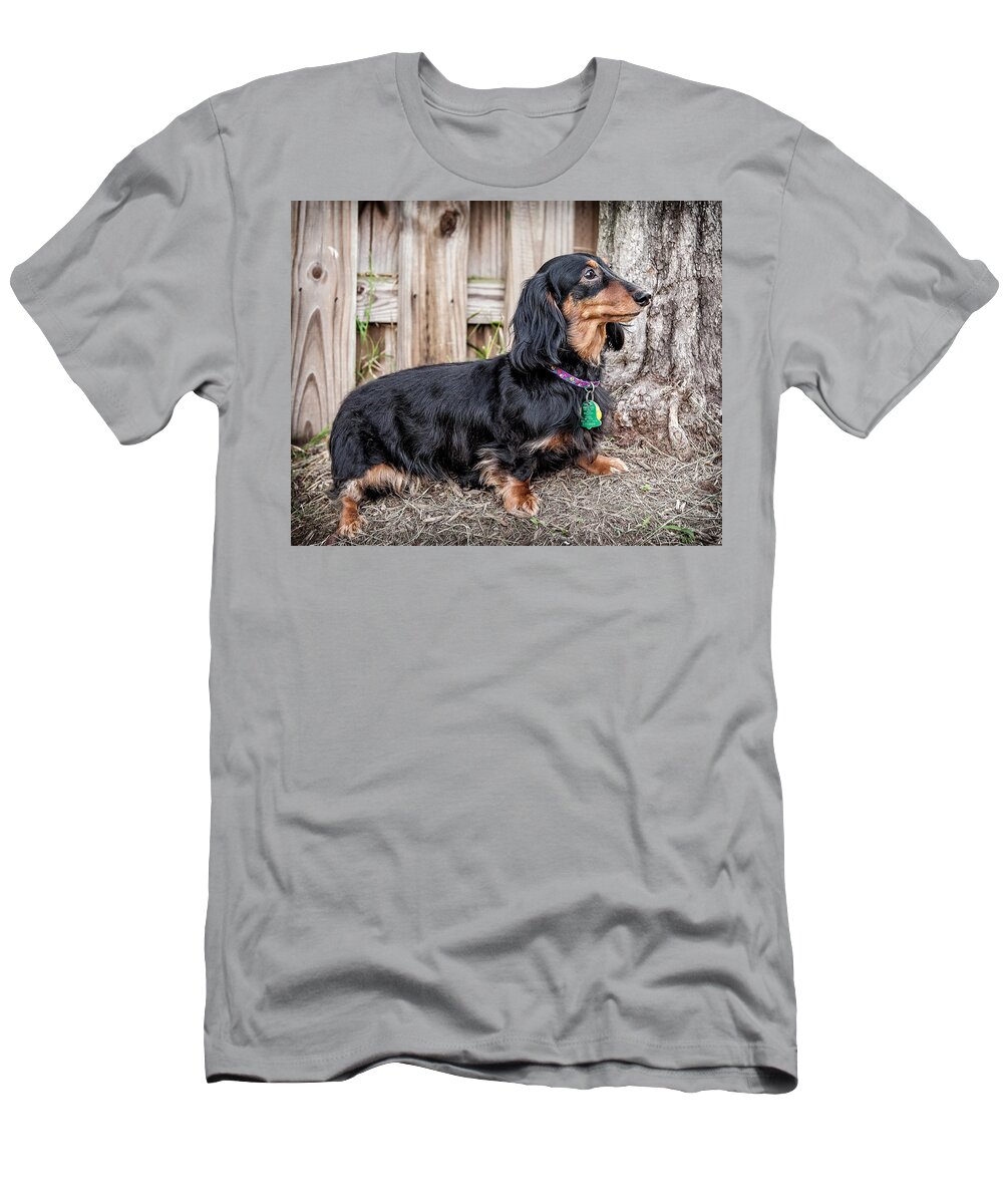 Animals T-Shirt featuring the photograph Katie by Jim Thompson