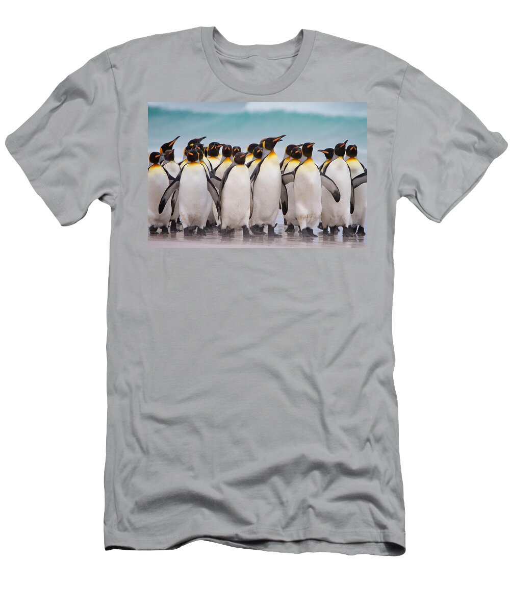Falkland Islands T-Shirt featuring the photograph King Penguins by David Beebe