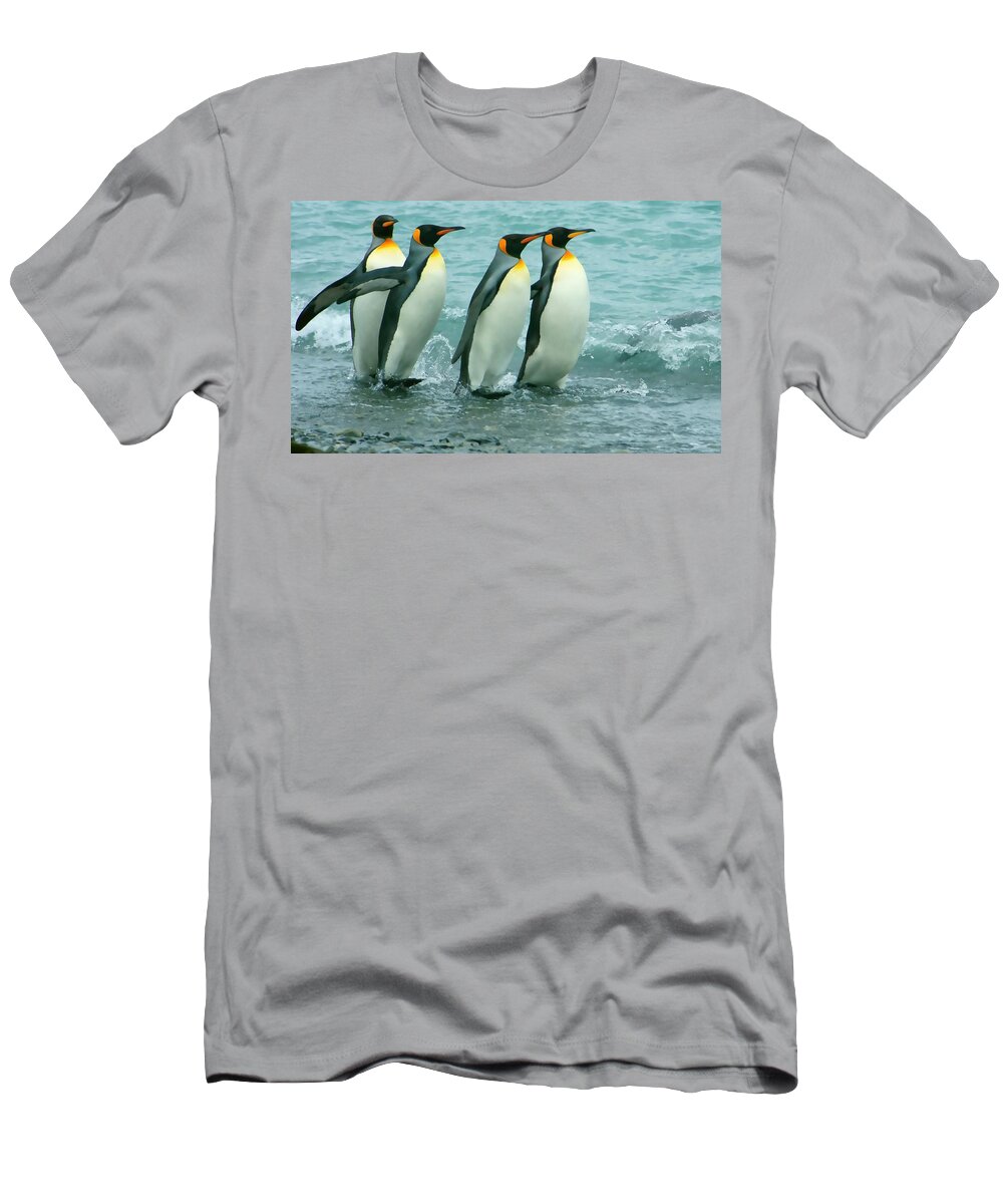 King Penguins Going To Sea T-Shirt featuring the photograph King Penguins Going To Sea by Amanda Stadther