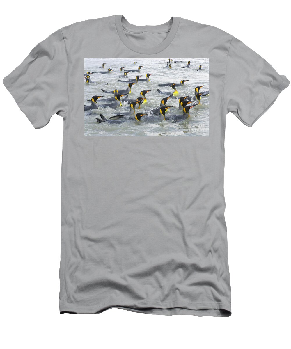 00345307 T-Shirt featuring the photograph King Penguins Swimming S Georgia Island by Yva Momatiuk and John Eastcott