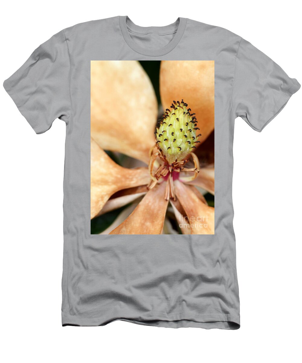 Macro T-Shirt featuring the photograph Last Days of a Magnolia by Sabrina L Ryan