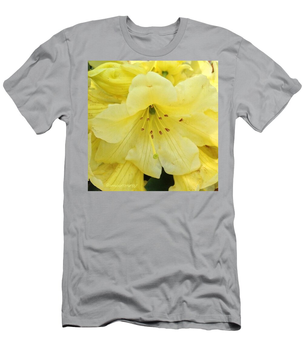 Macro_perfection T-Shirt featuring the photograph Lemon Yellow Perfection, A Lovely by Anna Porter