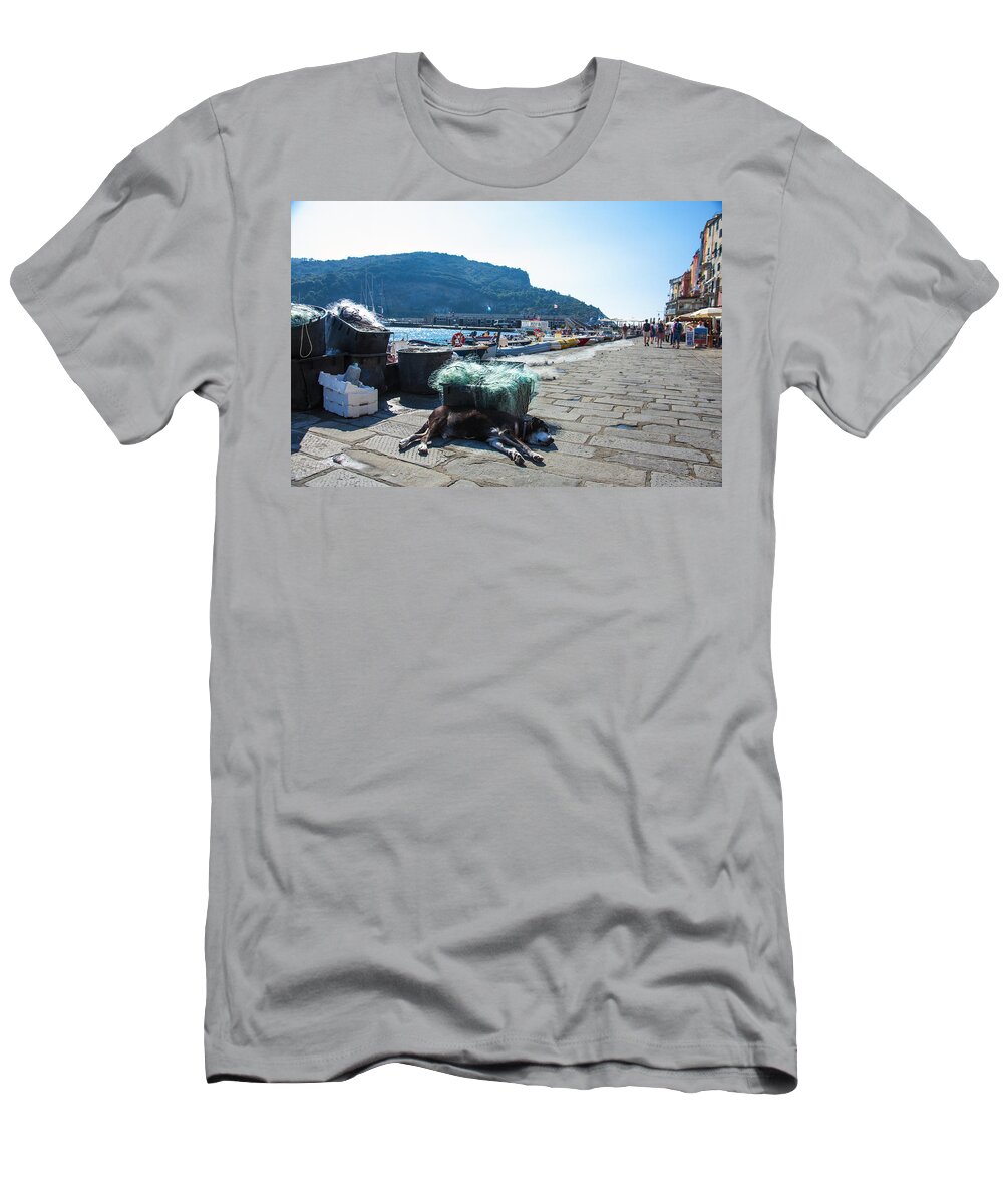 Europe T-Shirt featuring the photograph Let Sleeping Dogs Lie by Matt Swinden