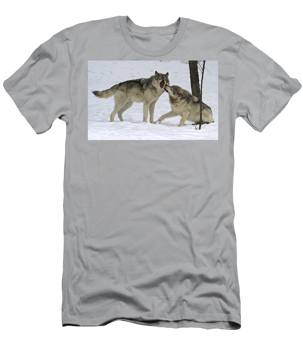 Nina Stavlund T-Shirt featuring the photograph Lets Play... by Nina Stavlund