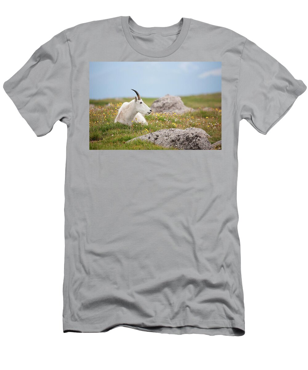 Billie Goat T-Shirt featuring the photograph Lie Down in Green Pastures by Jim Garrison