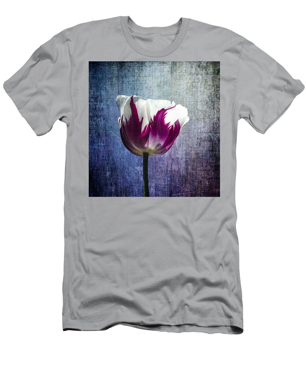 Tulip T-Shirt featuring the photograph Light You Up by Sandra Parlow