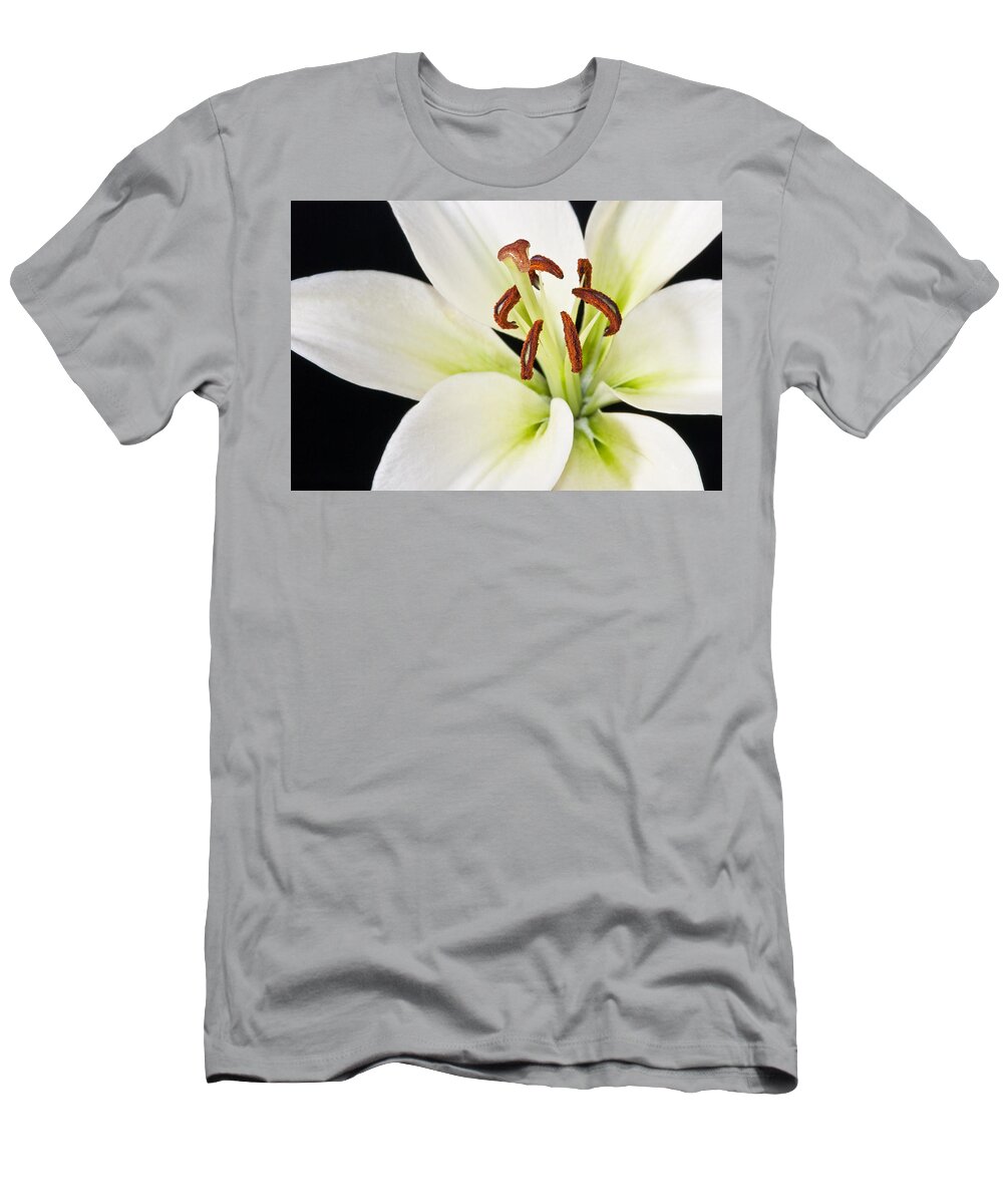 Lily T-Shirt featuring the photograph Lily in Winter by Georgette Grossman