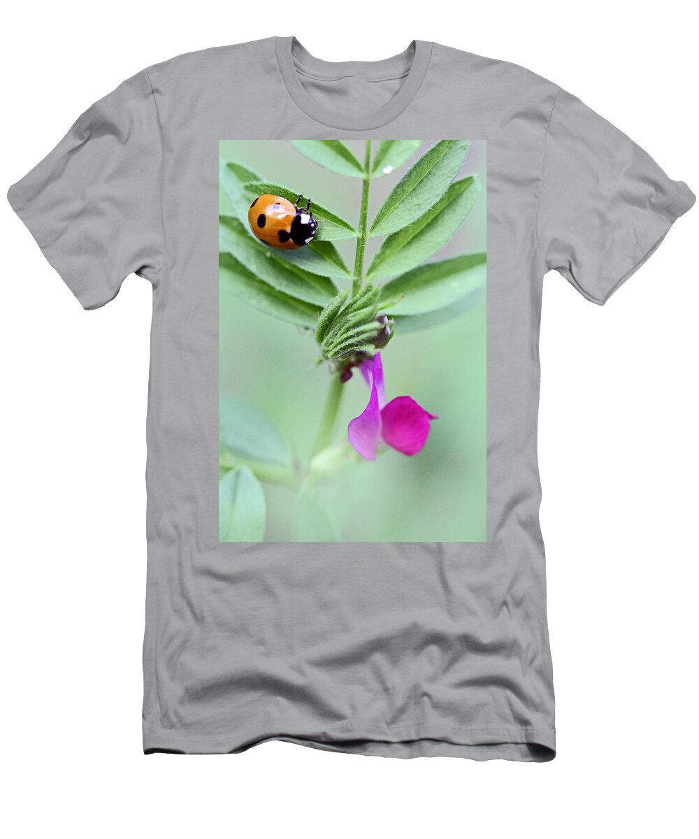 Insects T-Shirt featuring the photograph Little 'Love' Bug by Jennifer Robin